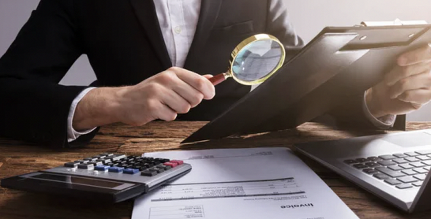 Consulting, audit and support